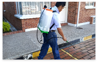 1000526163 (1)